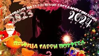 НОВОГОДНЕЕ ПОЗДРАВЛЕНИЕ БОССА МИКСОМАНИИ ПРИНЦА ГАРРИ ПОТТЕРА