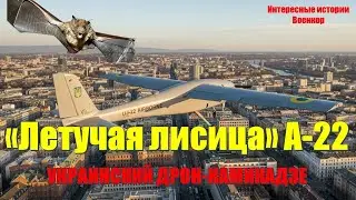 &laquo;Летучая лисица&raquo; A-22: Как украинский легкомоторный самолет стал дальнобойным дроном-камикадзе.