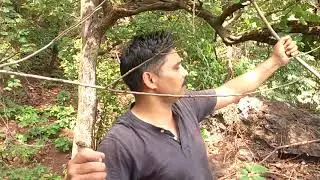 kiriburu jungle adventure