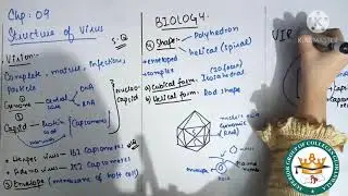 Chapter 05 Topic: Structure of viruses Biology-FSc (1st year)  Superior College for Women GRW