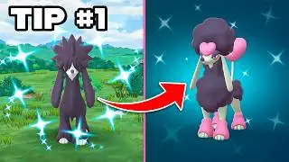 Your ONLY Chance at these Rare Pokémon!