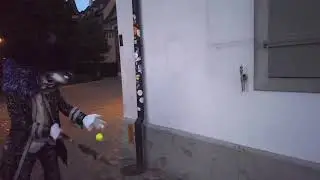 Federer-Volley-Challenge