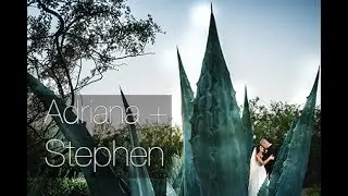 Adriana + Stephen | The BIG Pictures Wedding Film