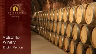 Valsotillo Wineries | Learn about aging wine with zero energy consumption.