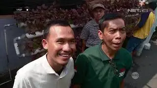 Lingkungan Sehat Warga Kompak di Kampung Hidroponik - IPOP