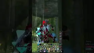 Triad (XCG) vs Bellato | RF Blaze | PVP Elf Land