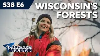 Wisconsin's Forests &mdash; Celebrating Our Connection to Wood