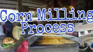 Corn Milling Process/ Corn Mill in the Philippines/Texas Family Farm