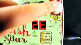 EHX Ravish Sitar Demo with Viola by Andrea Whitt Electro - Harmonix