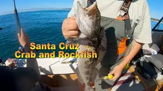 Rock fish and crab - Santa Cruz 11-24-20
