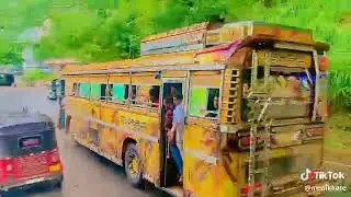 👽💀  BUS  PICCO  ❤️&zwj;🩹