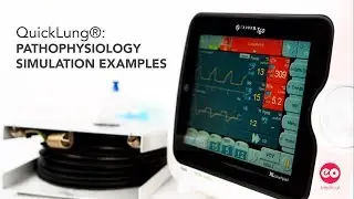 QuickLung: Teaching Scenarios - Pathophysiology Simulation Examples | Ep: 2/3