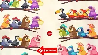 Bird Color Sort Puzzle Android:::::::::,🤣🤣😁😊😊