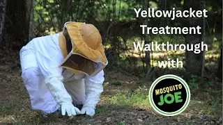 Yellowjacket Treatment Walkthrough with Mosquito Joe of Gulf Coast Alabama