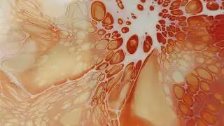 Hypnotic Abstract Art | Warm Orange Cellular Motion | 10 Minutes