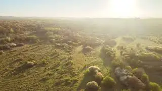 Connaught water Chingford Essex #essex #chingford #dji