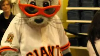 San Francisco Giants mascot Lou Seal making fans laugh at Macy's