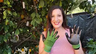 Gardening Accessories and Must Haves - Garden Hand Gloves