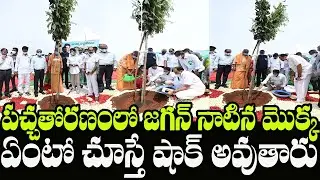 See How AP CM YS Jagan Planting Tree at 71st Vanamahotsavam Program in Ibrahimpatanam | Indiontvnews