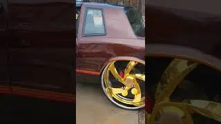 The Monte Carlo SS on 28s Goes Gold Face 🥇🥇