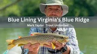 Blue Lining Virginia&rsquo;s Blue Ridge, Fly Fishing for Trout with Mark Taylor
