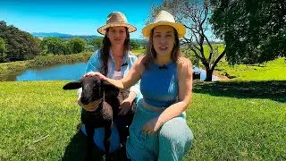 Fazenda com 150 alqueires à venda em Ortigueira-Pr.