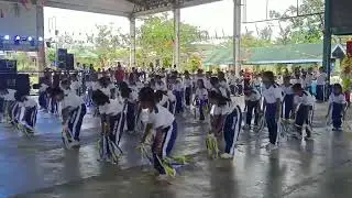Disclaimer description::: first foundation of Bato south central school 🏫 presentation grade 4 level