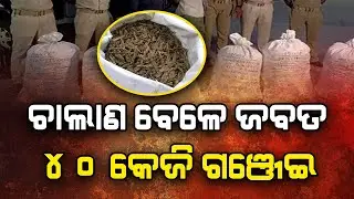 ଚାଲାଣ ବେଳେ ଜବତ 40 କେଜି ଗଞ୍ଜେଇ || FOCUSPLUS ||