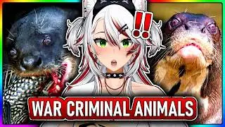 Vtuber Reacts to Why Is This Animal a War Criminal | Casual Geographic