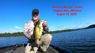 Morning Bite Largemouth - Pequot Lakes, MN