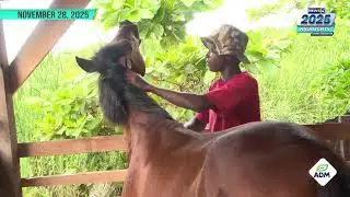 NEWS 5 2025 HIGHLIGHTS - Stories that Matter