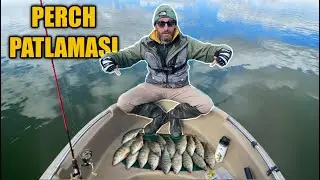&Ccedil;amlıdere Barajı Perch Fırtınası! (Tatlı Su Levreği Avı) Perch Fishing
