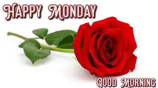 Good Morning, Happy Monday, Good Wishes and Status
