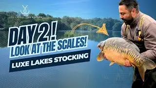 Luxe Lakes | The Escape - Stocking a New Carp Venue (Part 2) 🤩