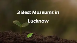 3 Best Museums in Lucknow, Uttar Pradesh 2025 | Museums