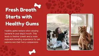 How Healthy Gums Help Keep Your Dog Active Comfortable Happy