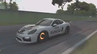 Assetto Corsa Pure Ultra Settings