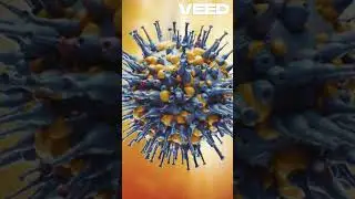 The concept of chirality in a minute