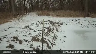 Trail Cameras January 2 to January 9, 2026