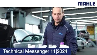 Technical Messenger 11 | 2024 Color isn&rsquo;t everything: topping up with the correct coolant