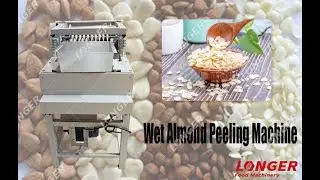 Wet Almond Peeling Machine--Almond Peeler Machine #Shorts