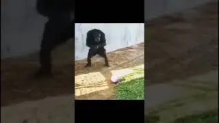 Monkey kick ball!