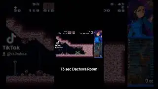 13 sec Dachora Room Mockball