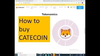 How to Buy Catecoin | What is Catecoin | Shiba Inu competitor | Cat vs. mouse | Catecoin Use