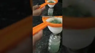 Most powerfull Organic Pesticide Mixture | Part 3 #homeremady