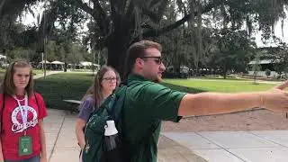 Lion Pride Preview