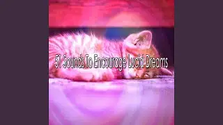 Give Into Your Lethargy