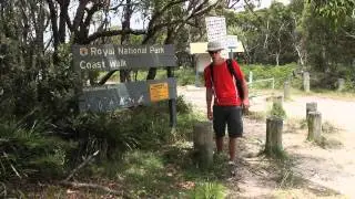 Royal National Park Coast Walk - Bundeena to Wattamolla
