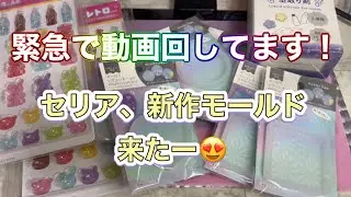 No.218 『UVレジン』seria、キャンドゥ購入品紹介✨新作モールド来た✨モールド型取り剤！？