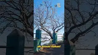 Dolphin Nose Point OOTY | Best Locations in ooty | TRAVEL WITH JERRY #travel #ooty #shorts